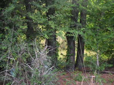 Tbd Thurgood Marshall Highway, Andrews, SC 29510