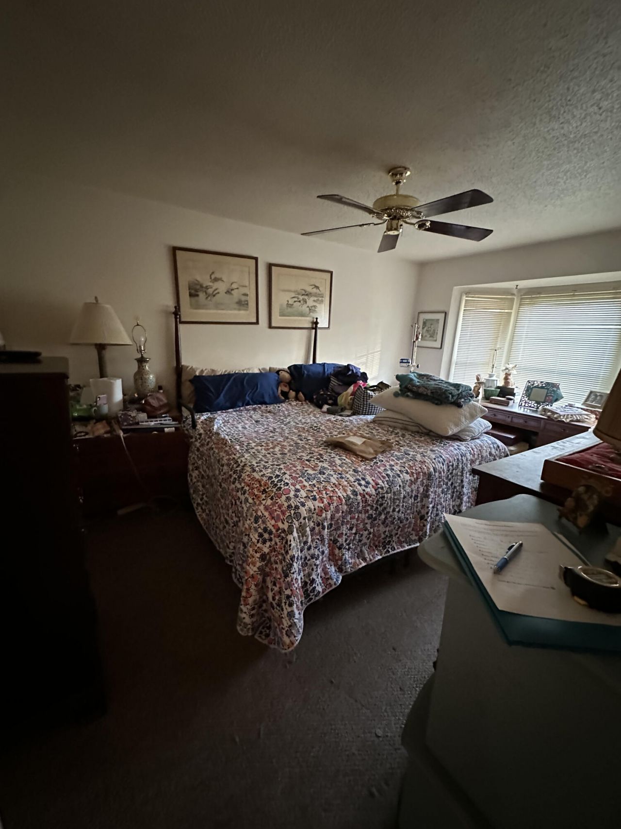 1503 Audubon Court Photo 5