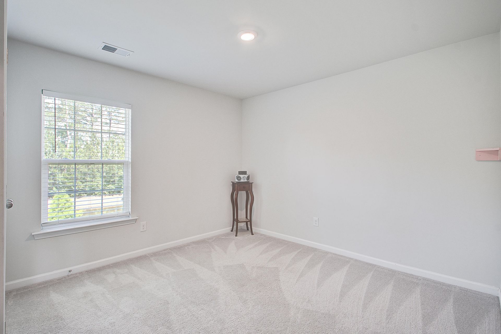 214 Daniels Creek Circle Photo 25