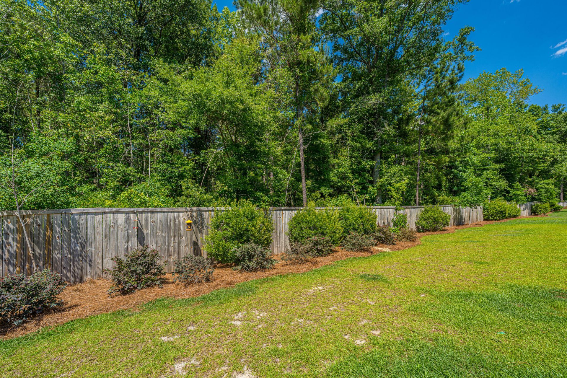 201 Trumpet Vine Drive Photo 31