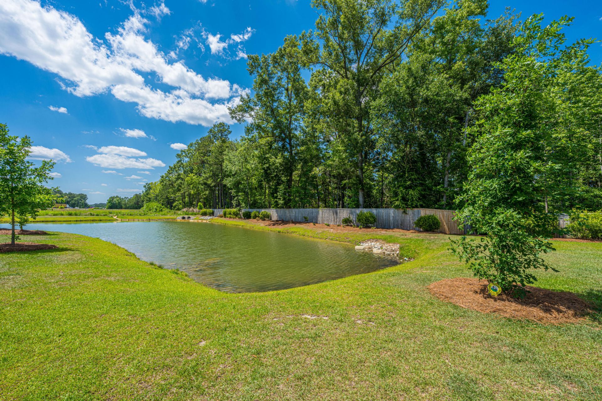 201 Trumpet Vine Drive Photo 34