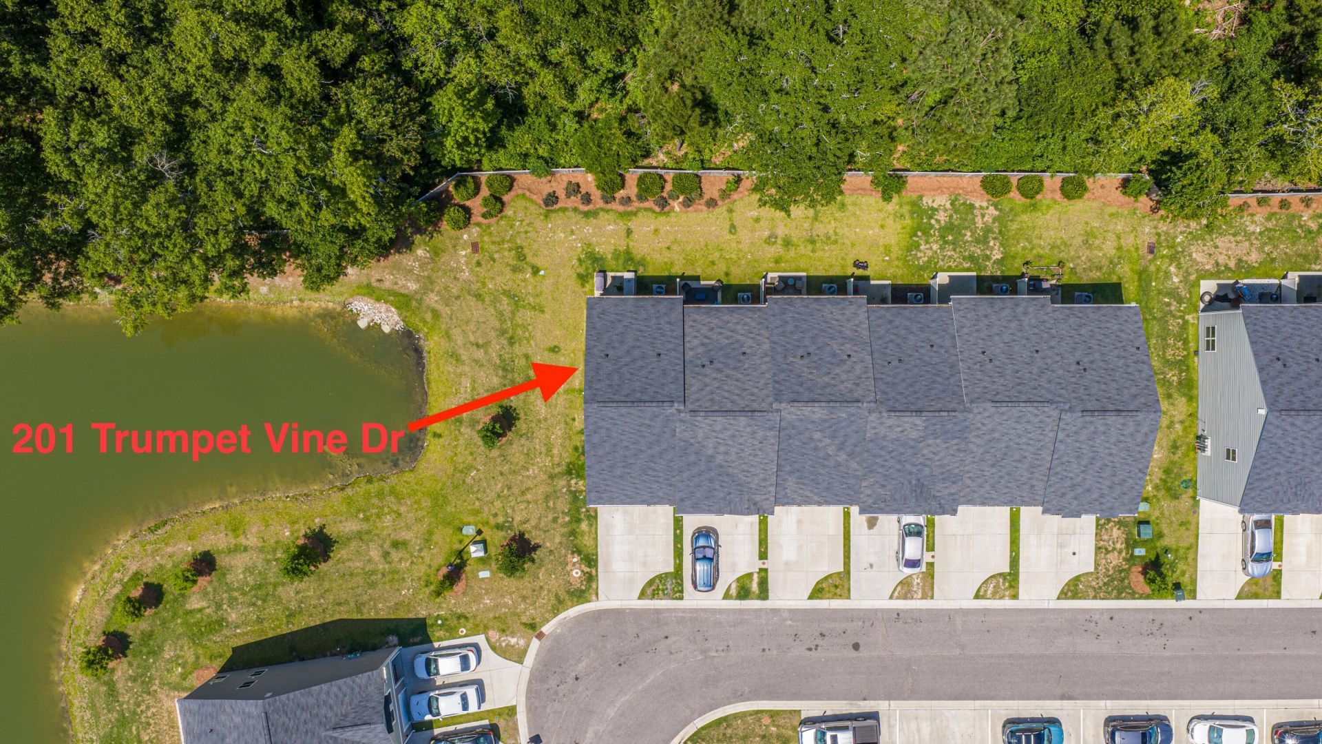 201 Trumpet Vine Drive Photo 65