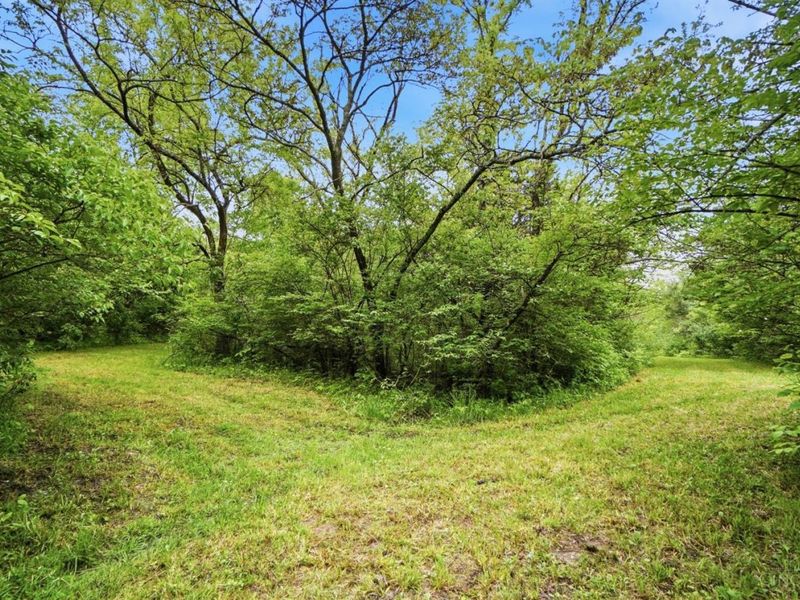 2996 Millville Shandon Road, Morgan Township, OH 45013 Photo 49