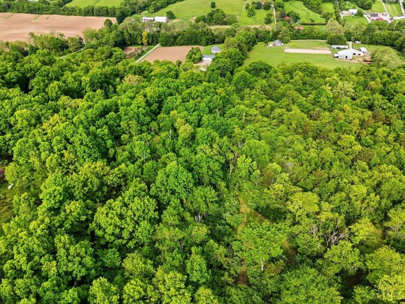 2996 Millville Shandon Road, Morgan Township, OH 45013 Photo 61