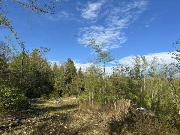 Map7Lot9 WM Livermore Road, Fayette, ME 04349