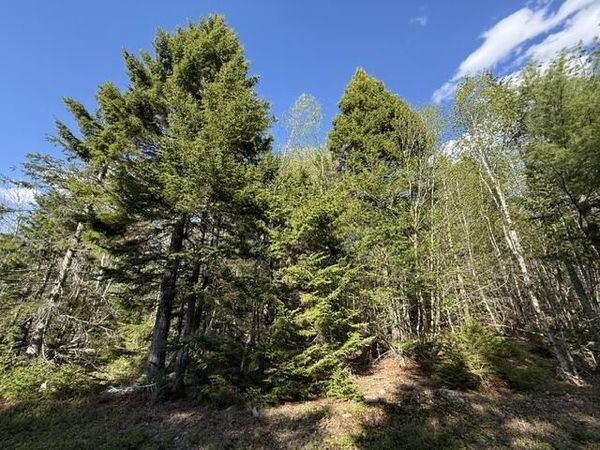 Lot 13 Pidgeon Point Road , Whiting, ME 04691