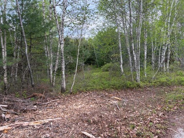 Lot #8 Thayer Road, Waltham, ME 04605 Main Photo