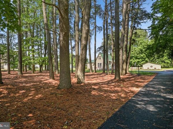 151 PEACH BASKET ROAD, FELTON, DE 19943