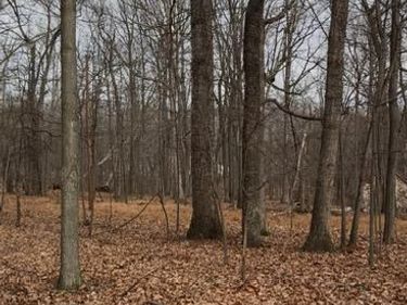 WINDING RIDGE LANE, Unit LOT 10, WINCHESTER, VA 22603