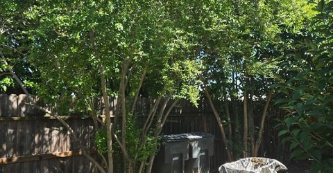 5309 56th St, Sacramento, CA 95820 Photo