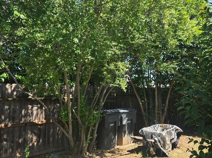 5309 56th St, Sacramento, CA 95820 Photo