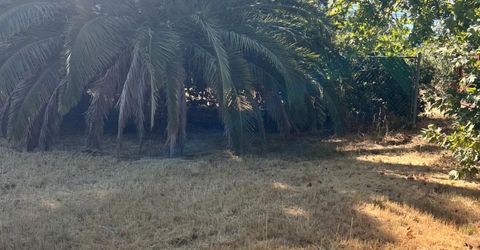 2837 Del Paso Blvd, Sacramento, CA 95815 Photo