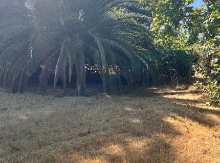 2837 Del Paso Blvd, Sacramento, CA 95815 Photo