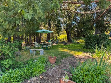 48 Pine St, West Point, CA 95255 Photo