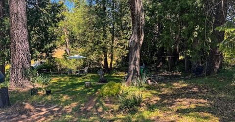 48 Pine St, West Point, CA 95255 Photo