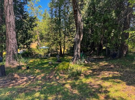 48 Pine St, West Point, CA 95255 Photo