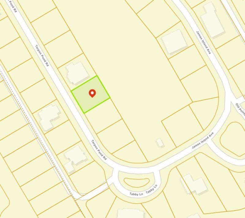 1007 Tarpon Pond Rd. Photo 17