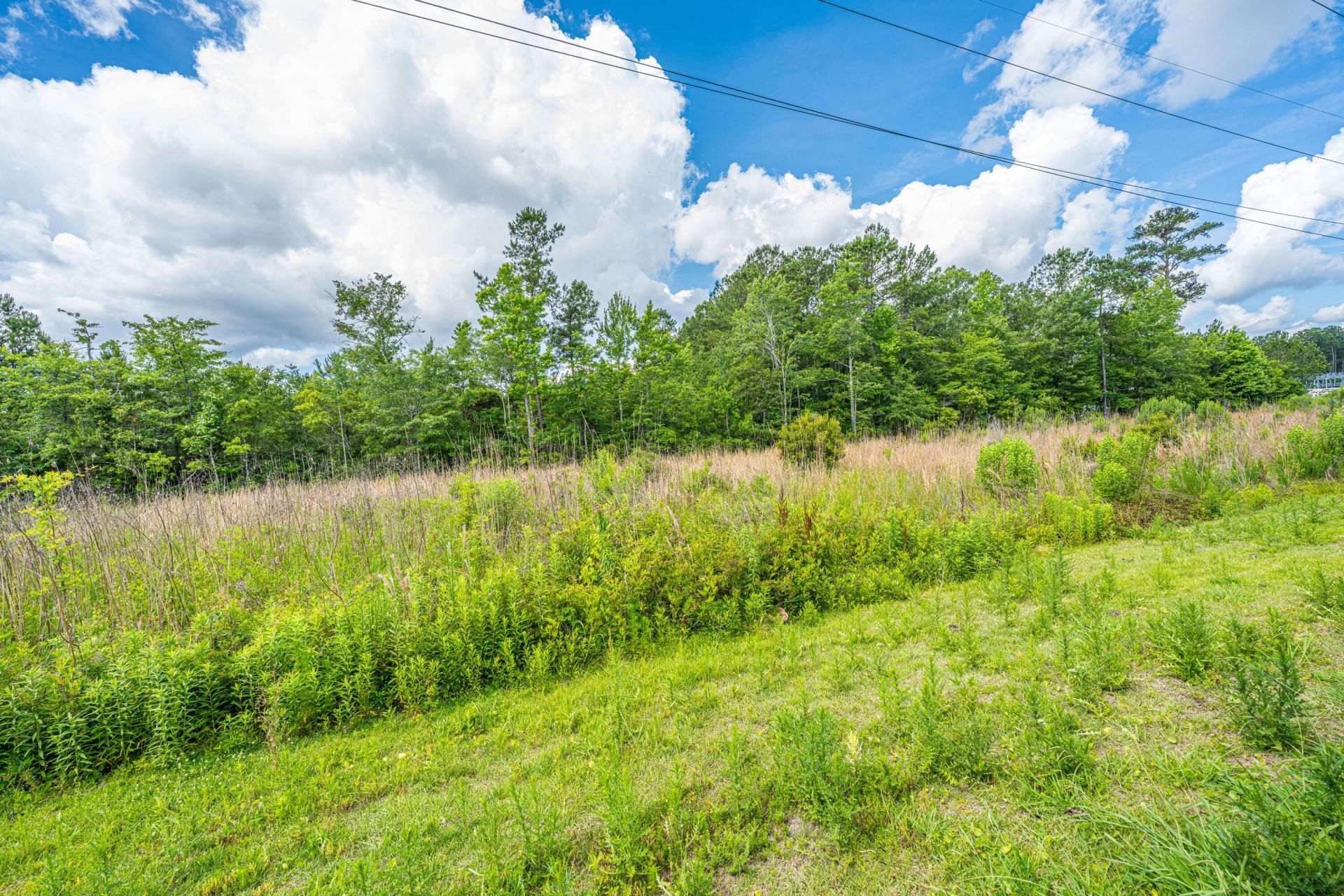 120 Deerpath Trail Photo 45