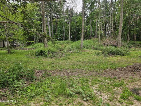 85 Willow Street, Guilderland, NY 12084