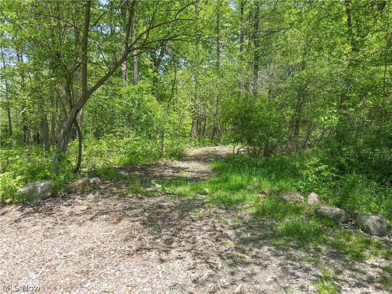 28449 Pike Drive, Orange, OH 44022 Photo 46
