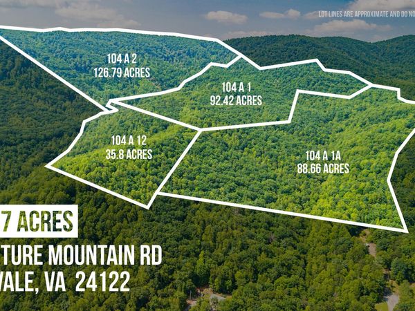 0 Adventure Mountain RD, Montvale, VA 24122