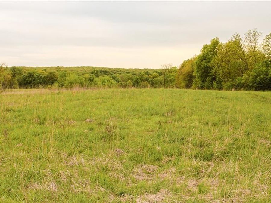 Property Image 38