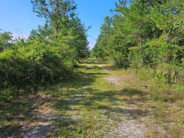 TBD SE CR-135 (OFF), White Springs, FL 32096