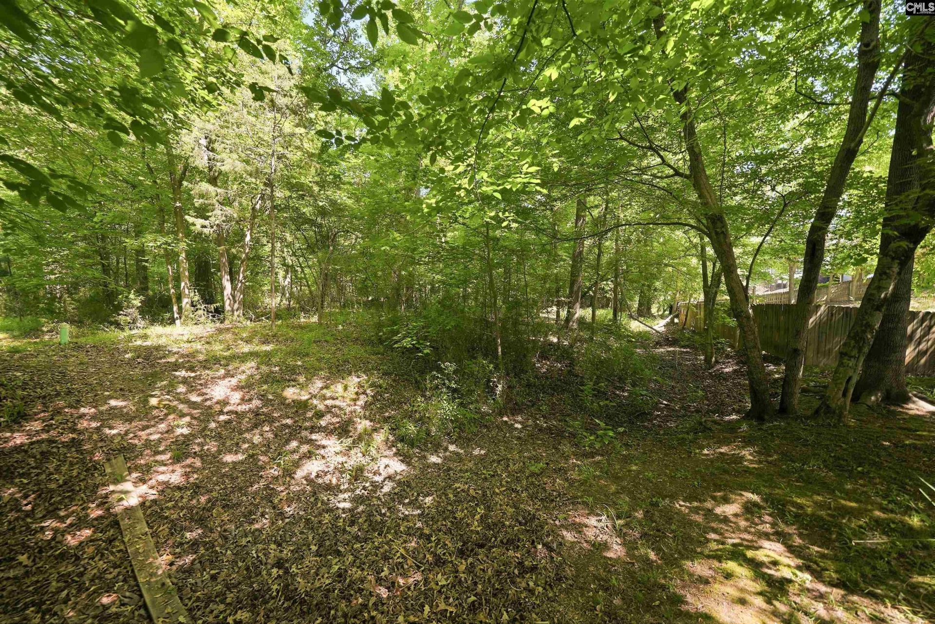 204 Saints Creek Lane  Photo 45