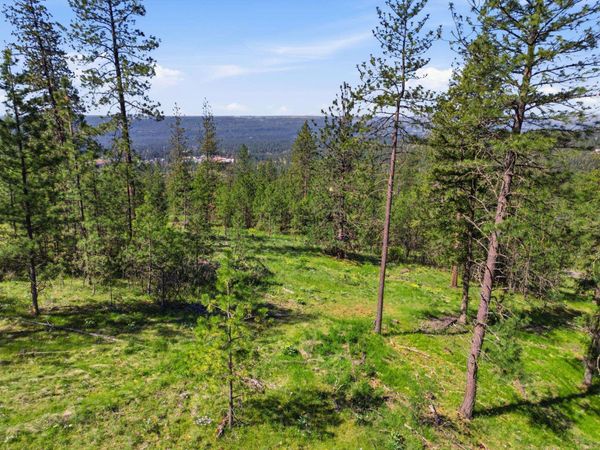 NKA Weaver Lot D & C Way, Deer Park, WA 99006