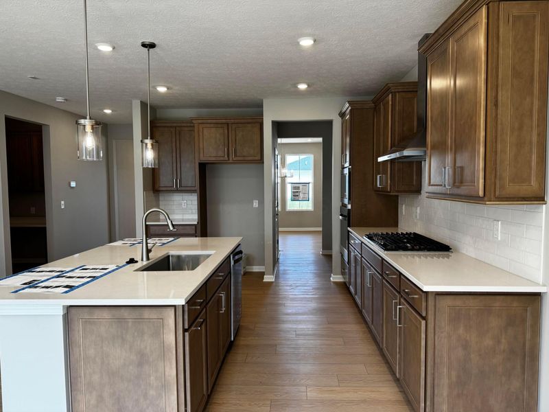 141 Figleaf Lane, Unit Lot 45, Marysville, OH 43040 Photo 4