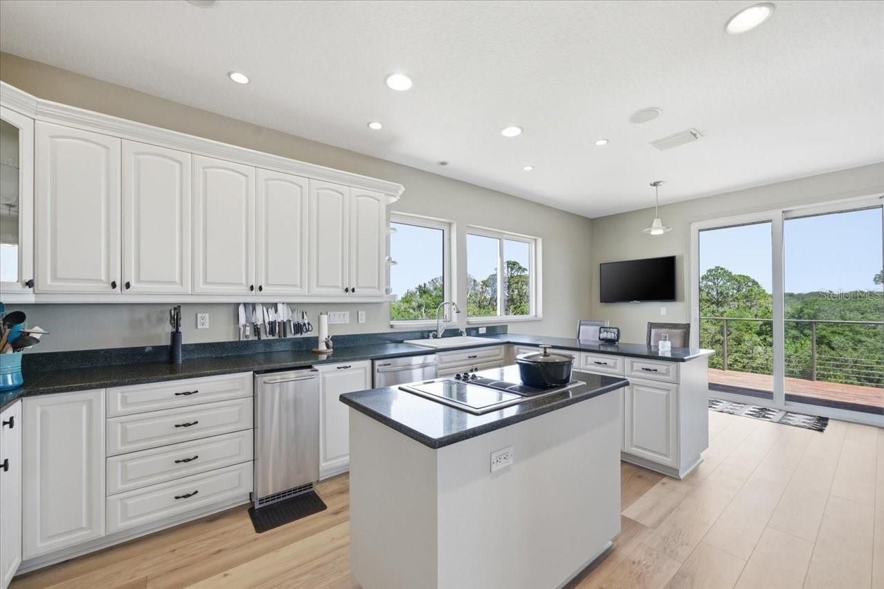 1130 S Florida Avenue, Tarpon Springs, FL 34689 Photo