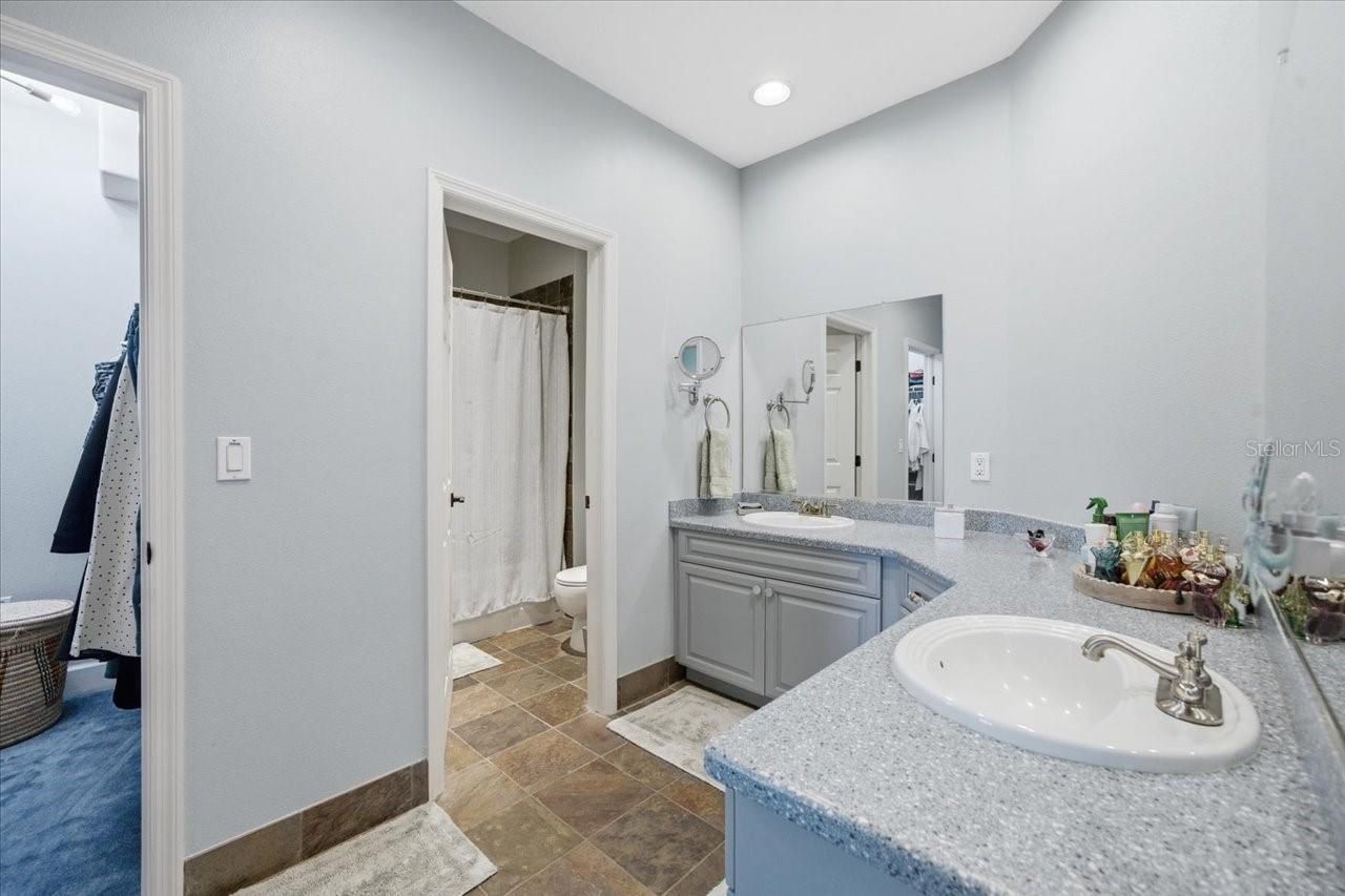 1130 S Florida Avenue, Tarpon Springs, FL 34689 Photo