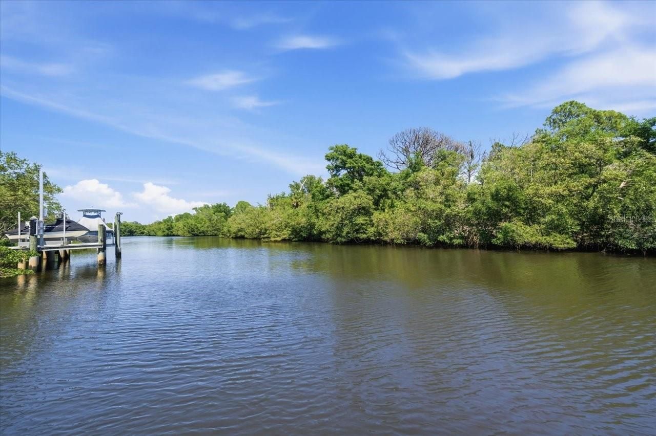 1130 S Florida Avenue, Tarpon Springs, FL 34689 Photo