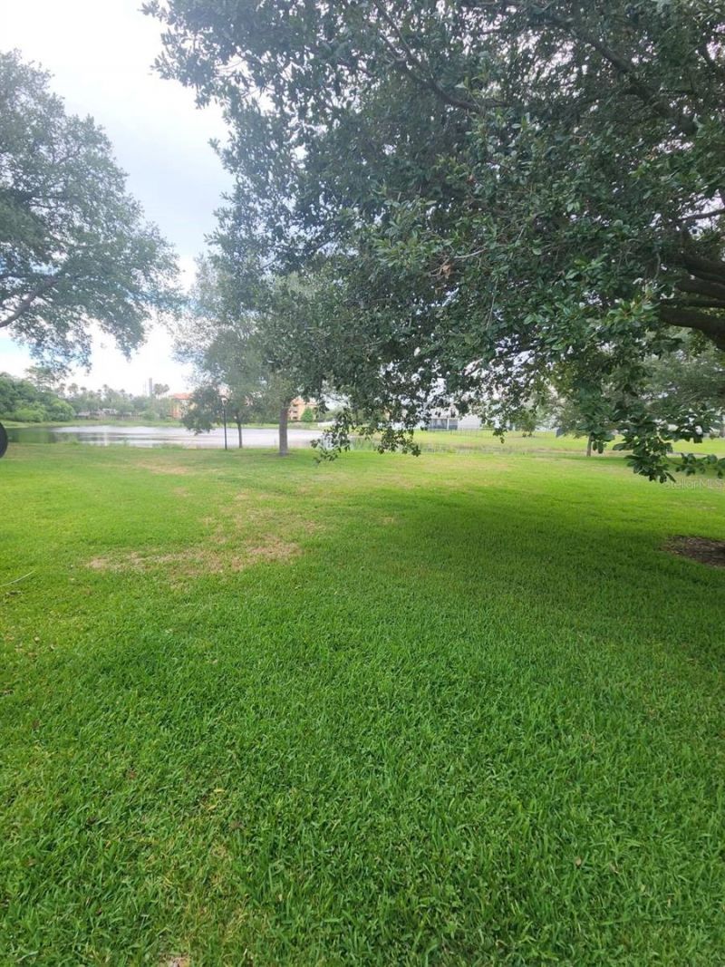 5312 Cypress Creek Drive, Unit 104, Orlando, FL 32811 Photo
