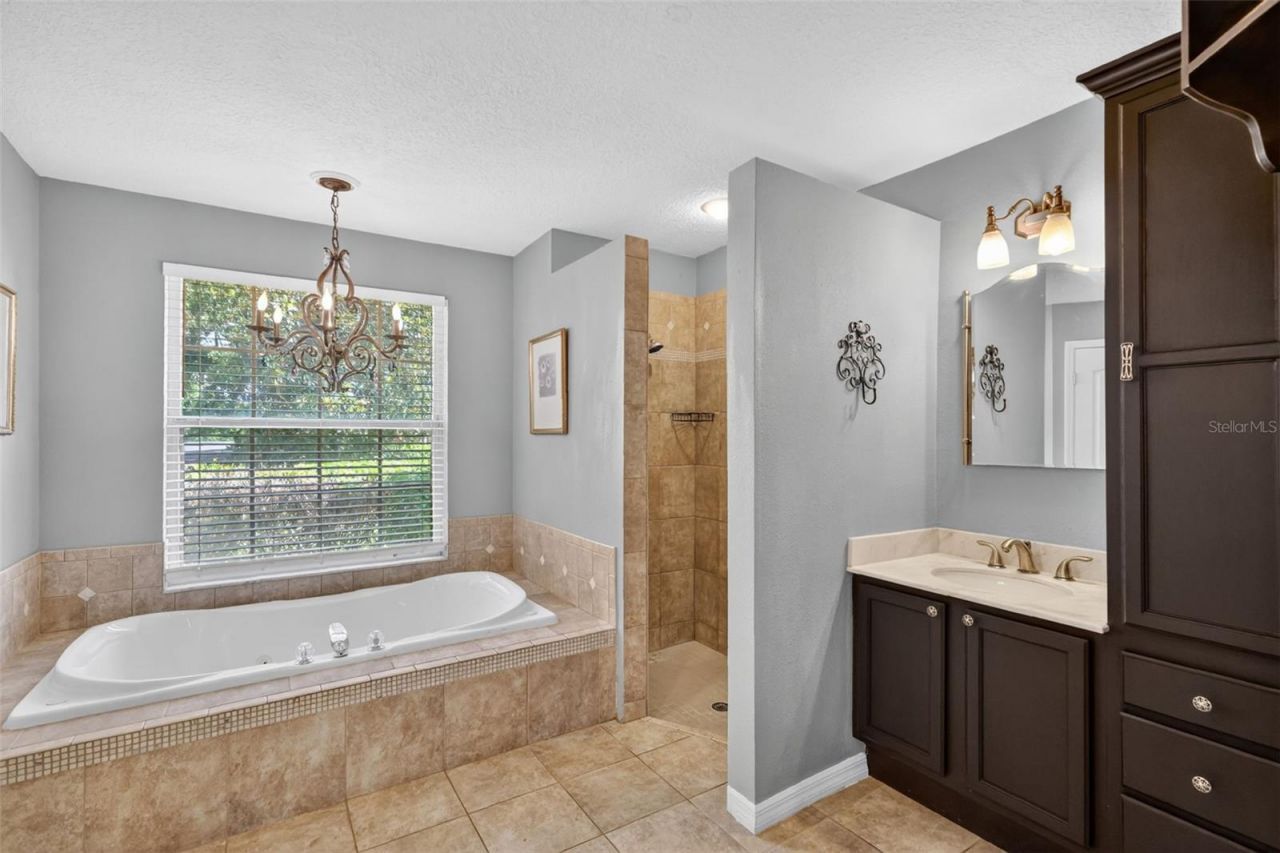 11424 Via De Renee Pl , Clermont, FL 34711 Photo