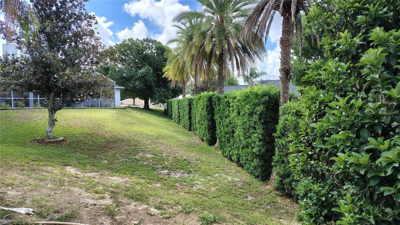 11424 Via De Renee Pl , Clermont, FL 34711 Photo