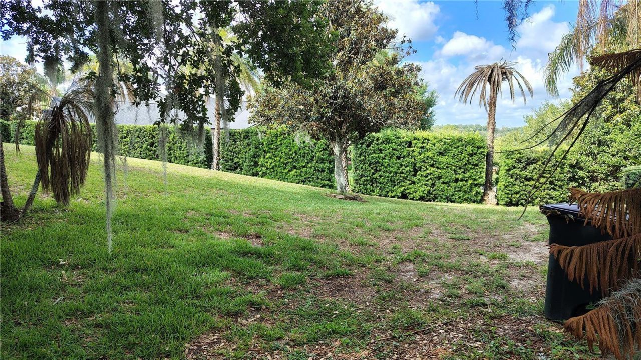 11424 Via De Renee Pl , Clermont, FL 34711 Photo