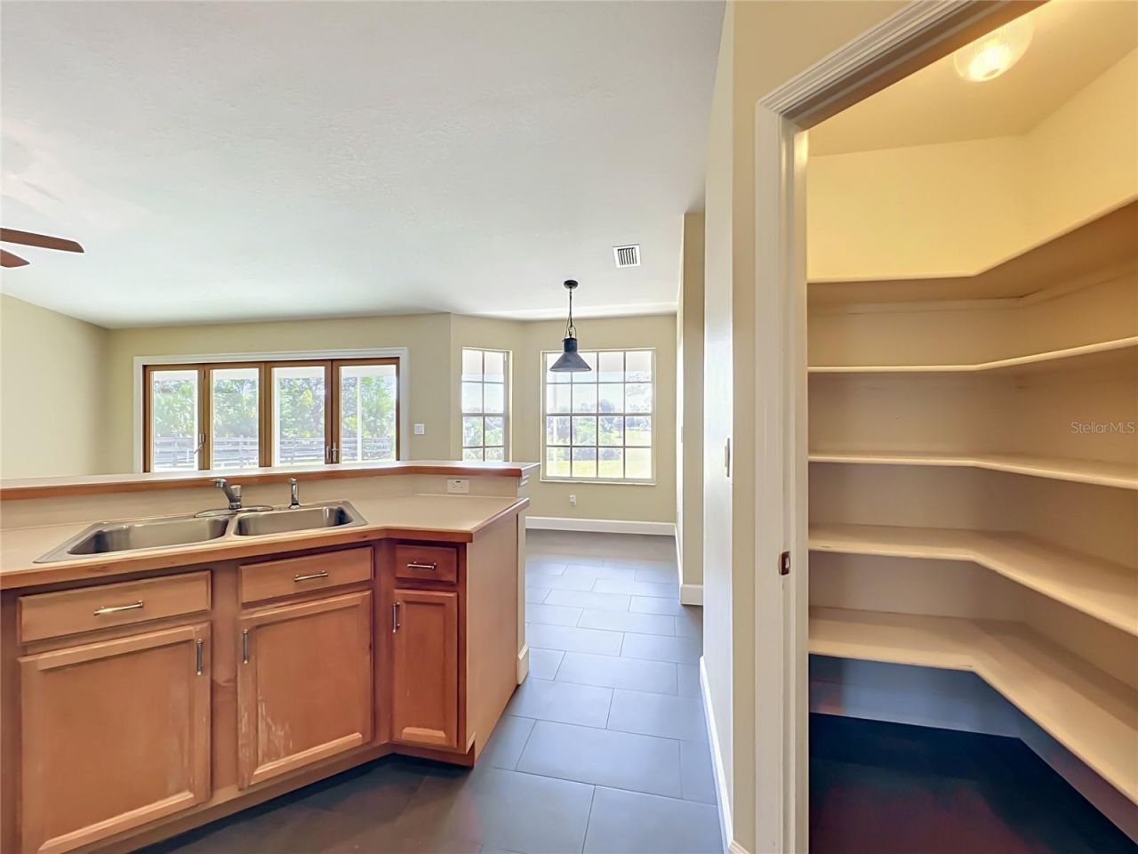 32936 Scenic Hills Drive , Mount Dora, FL 32757 Photo