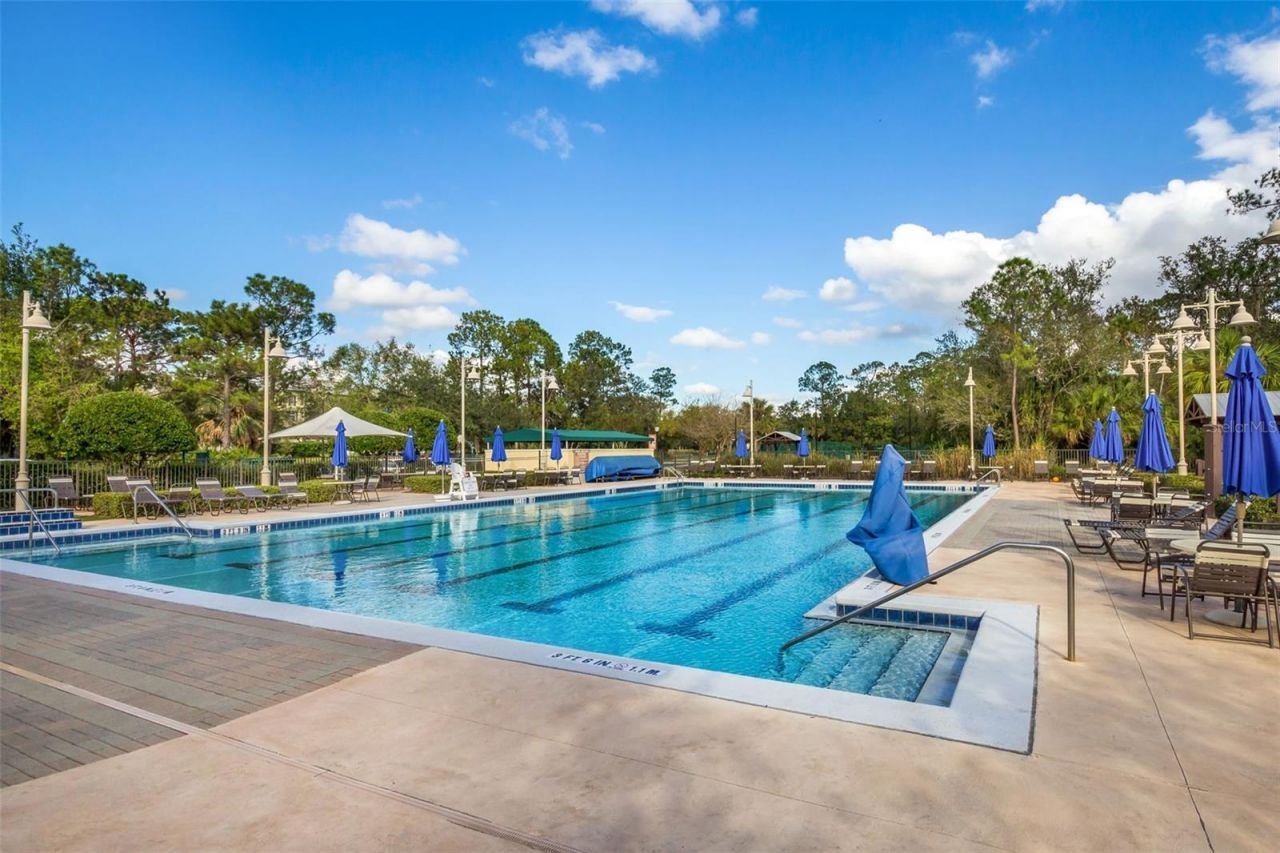 630 Campus St, Unit 305, Celebration, FL 34747 Photo