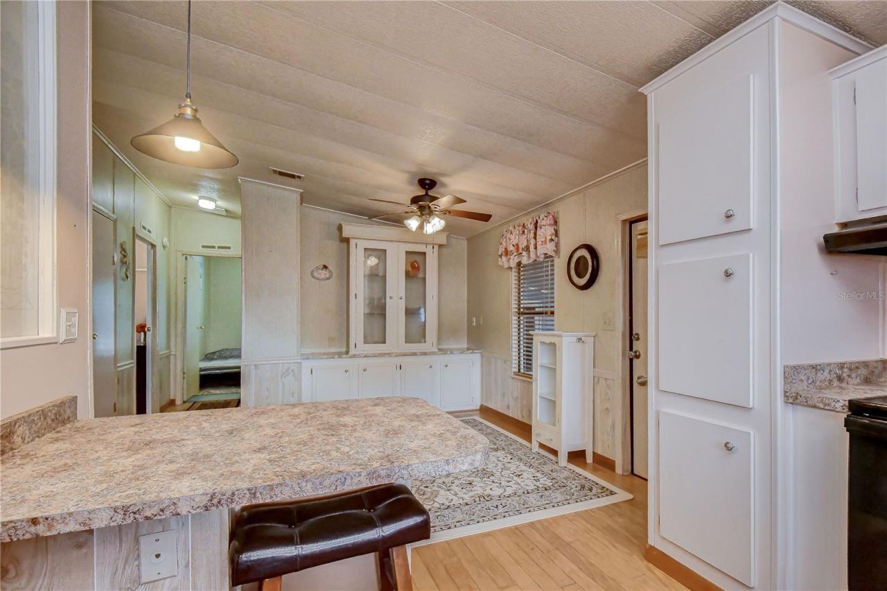 35123 Colony Hills Drive , Zephyrhills, FL 33541 Photo
