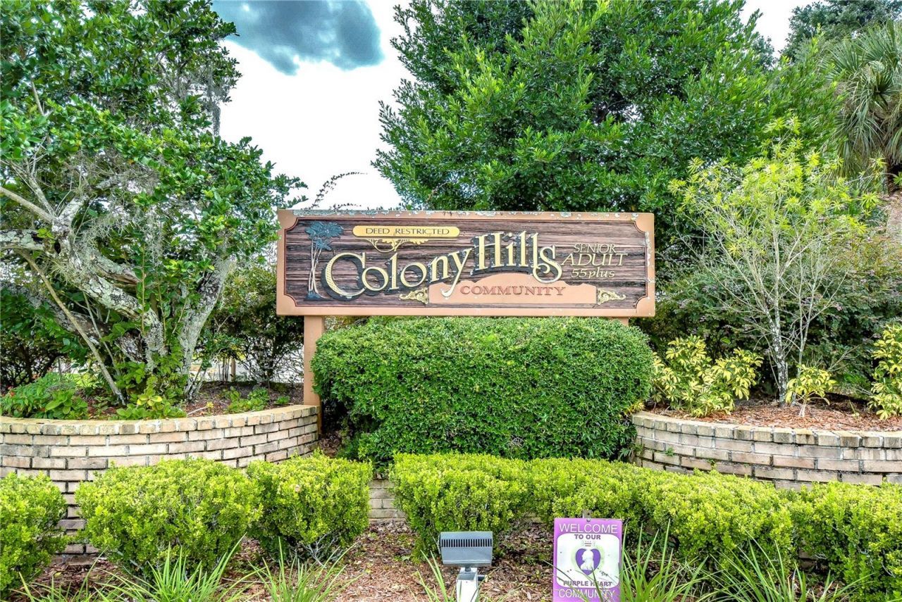 35123 Colony Hills Drive , Zephyrhills, FL 33541 Photo
