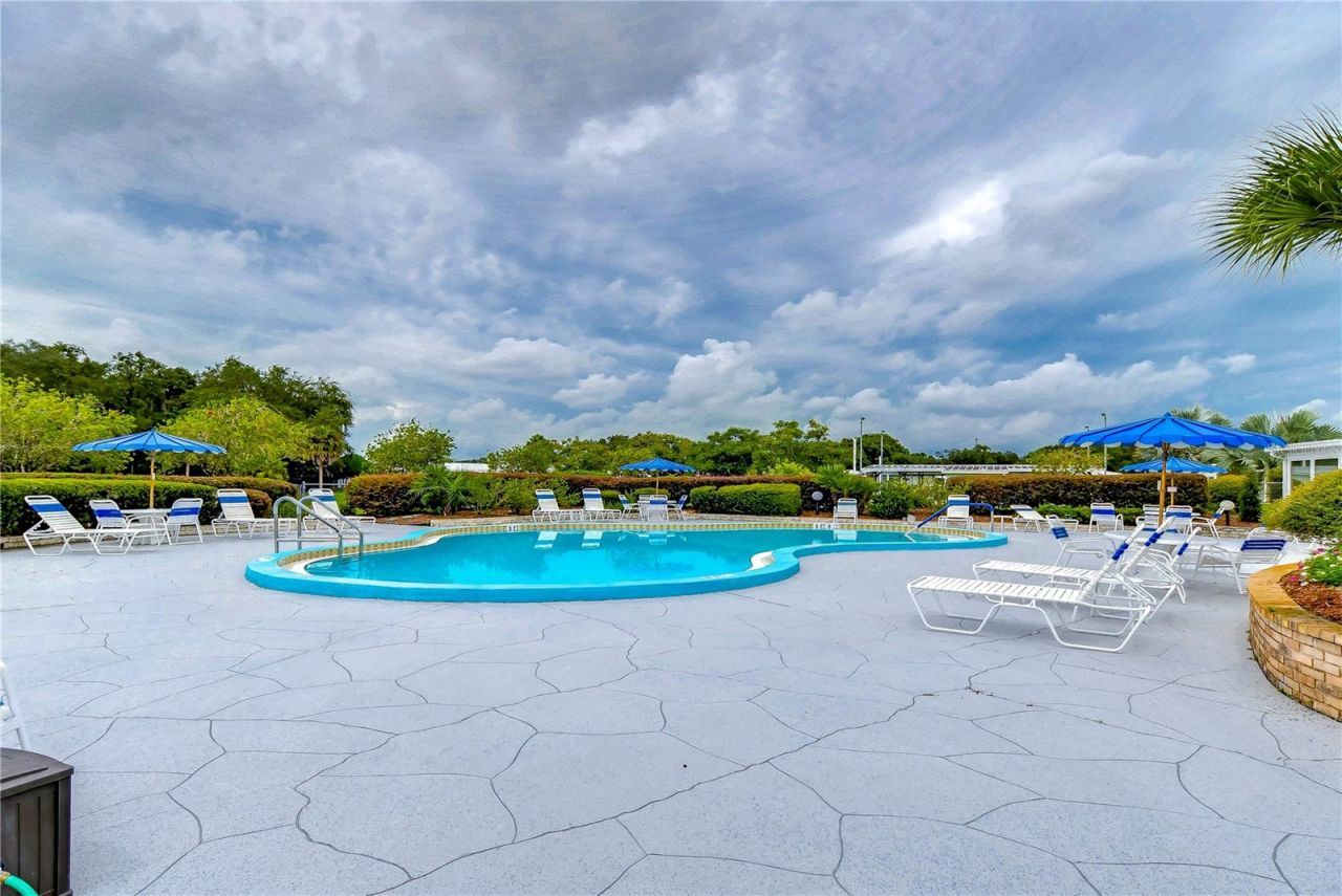 35123 Colony Hills Drive , Zephyrhills, FL 33541 Photo