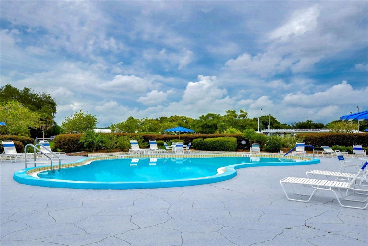 35123 Colony Hills Drive , Zephyrhills, FL 33541 Photo