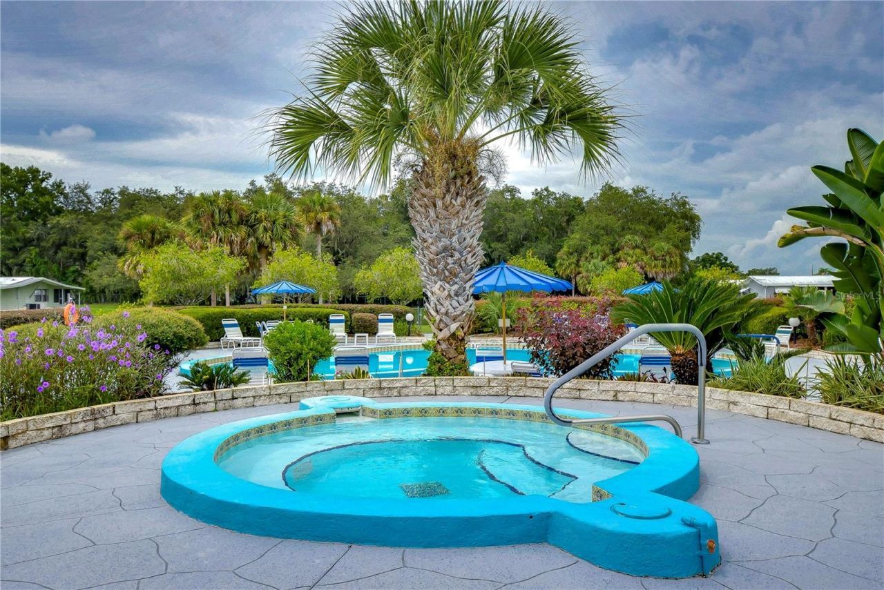 35123 Colony Hills Drive , Zephyrhills, FL 33541 Photo