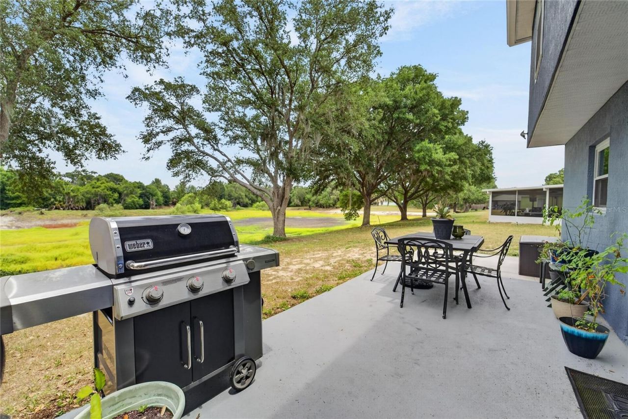1201 Dragon Head Drive , Valrico, FL 33594 Photo