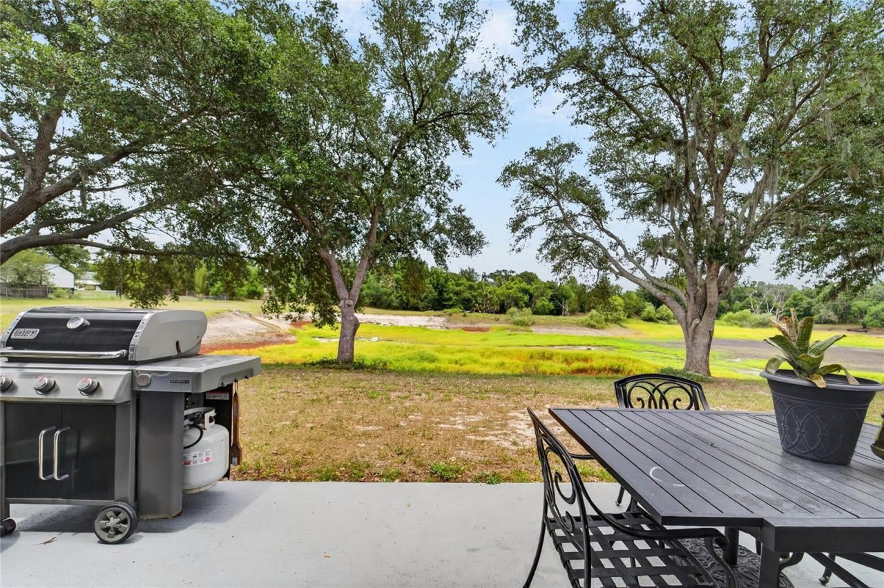 1201 Dragon Head Drive , Valrico, FL 33594 Photo