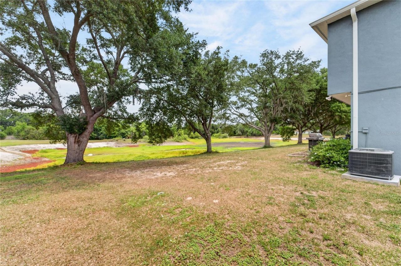 1201 Dragon Head Drive , Valrico, FL 33594 Photo