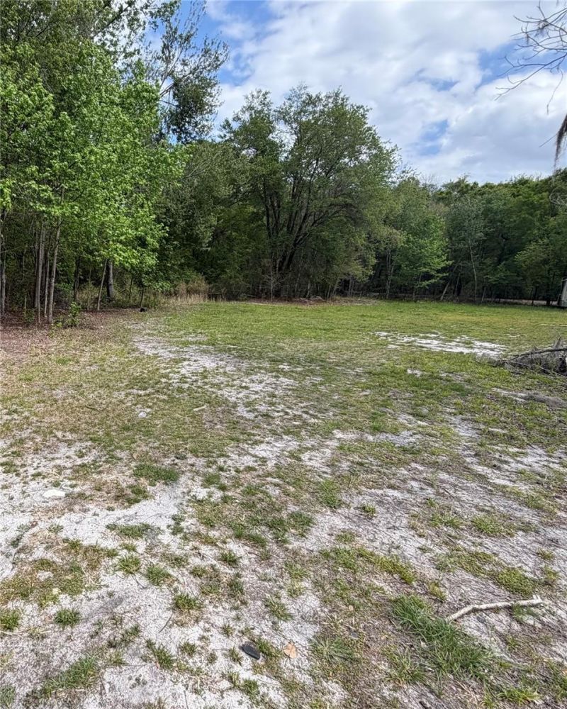 10033 SW County Road 225, Starke, FL 32091 Photo