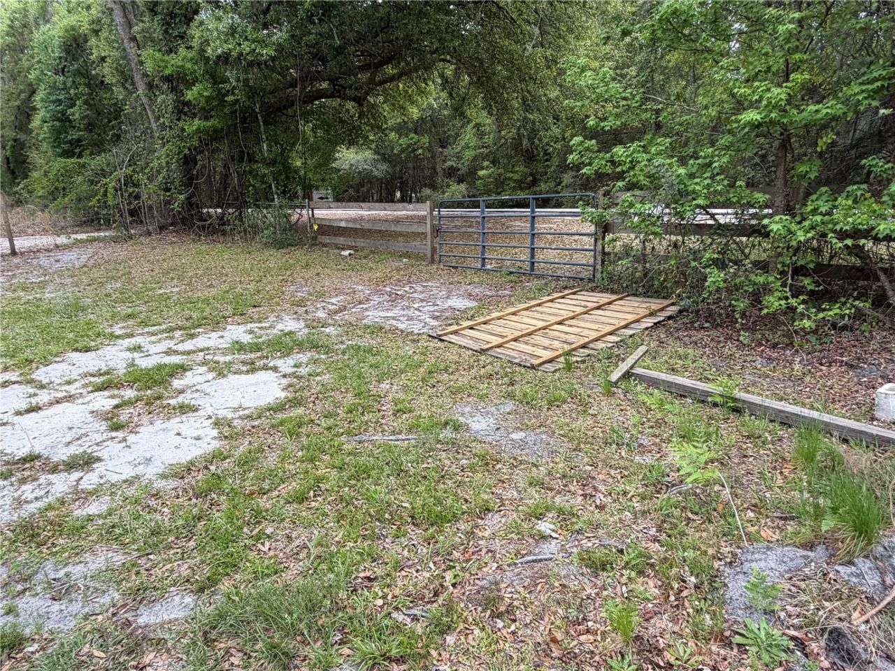 10033 SW County Road 225, Starke, FL 32091 Photo