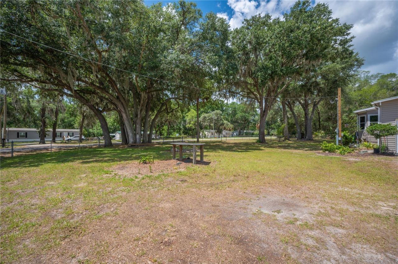 4817 Indian Oak Drive, Mulberry, FL 33860 Photo